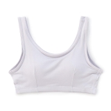 ペールパープル