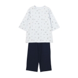 アイスグリーン