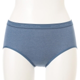 ダスティブルー