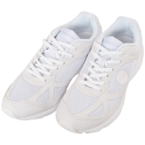 ホワイトメッシュ