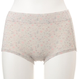 シェルグレー（終了色）