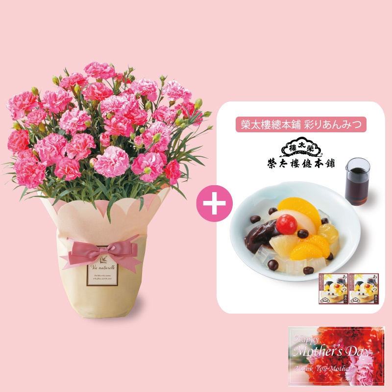 【母の日】「カーネーション鉢植え」＆榮太樓總本鋪 彩りあんみつ