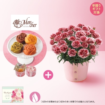 【早贈り】カーネーション（いちごホイップ）と「パティスリーモンシェール」エタニティローズ