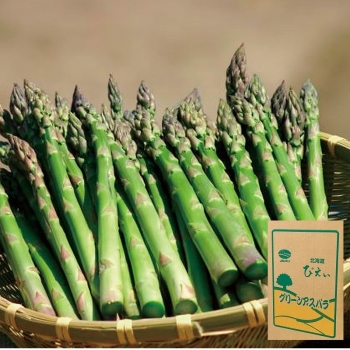 北海道 美瑛町産　グリーンアスパラガス（Ｌ）