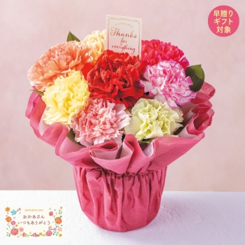 【早贈り】フラワーアレンジメント「カラフルカーネーション」