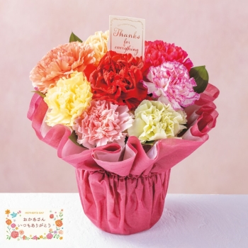 【母の日】フラワーアレンジメント「カラフルカーネーション」