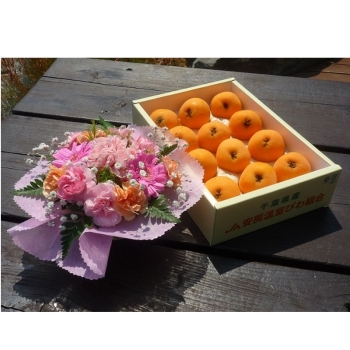 千葉県産房州びわ　ハウス栽培　母の日セット　ＢＨ－ＨＳＥＴ