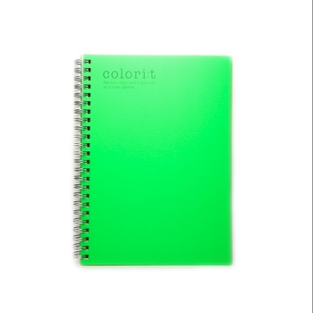 カラリート　ＷリングノートＡ５　グリーン