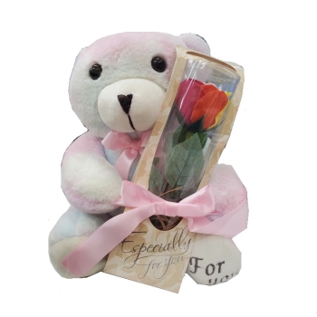 【在庫限り】レインボーベアギフト