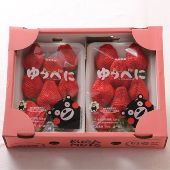 ゆうべに　２５０ｇ×２