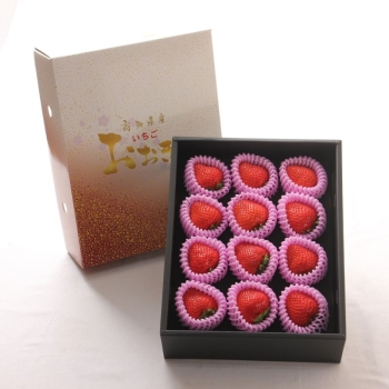 高知県産　おおきみ　５００ｇ