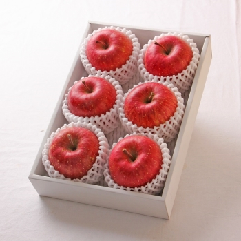 青森県・秋田県産　サンふじ　１．５ｋｇ