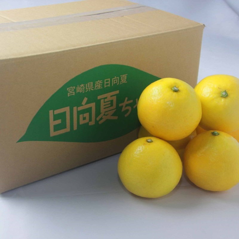 宮崎県産　日向夏　バラ　５ｋｇ