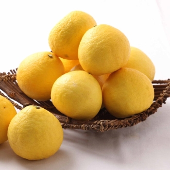 宮崎県産　日向夏　バラ　３ｋｇ