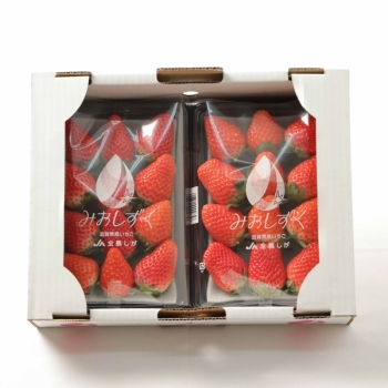 滋賀県産 みおしずく