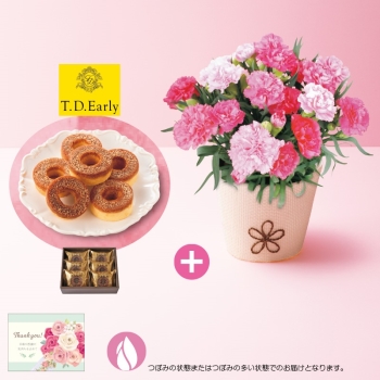【母の日】カーネーション（ホットハート）＆Ｔ．Ｄ．Ｅａｒｌｙキャラメリゼバウム