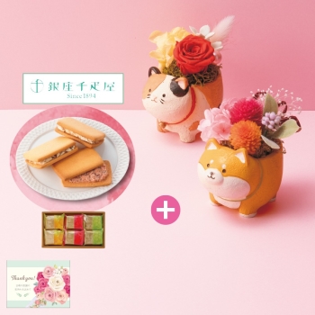 【母の日】アニマルプリザと「銀座千疋屋」銀座フルーツサンド