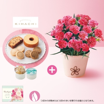 【母の日】カーネーション（ももりーな）と「パティスリーキハチ」アソートＢＯＸ