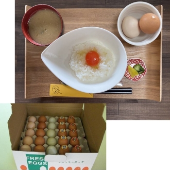 バラエティーセット