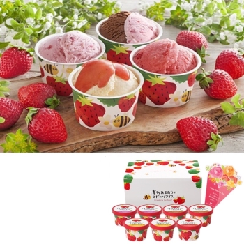 【母の日】博多あまおうのこだわりアイス　Ｍ－ＡＨ－ＡＢ３