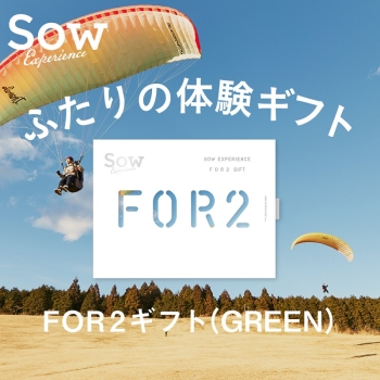 ソウ・エクスペリエンスＦＯＲ２ギフトＧＲＥＥＮフォーツー