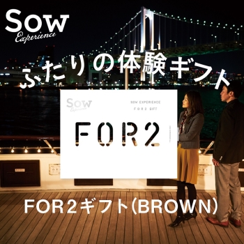 ソウ・エクスペリエンスＦＯＲ２ギフトＢＲＯＷＮフォーツー