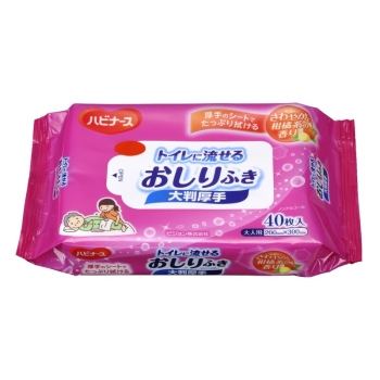 トイレに流せるおしりふき大判厚手４０枚入