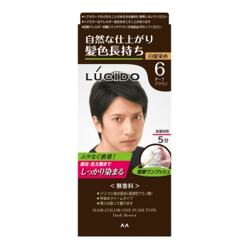 マンダムルシードワンプッシュケアカラーダークブラウン