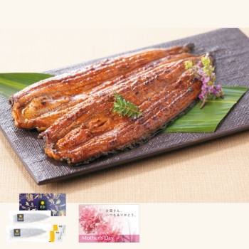 【母の日】宮崎県産　うなぎ長蒲焼