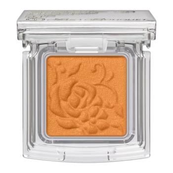 カネボウ　トワニー　ララブーケ　アイカラーフレッシュＮ　０５