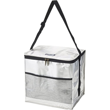 デリス　シルバーソフトクーラー　２４Ｌ