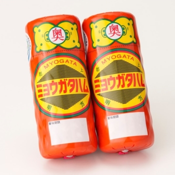 ＪＡめぐみの明方ハム ２本セット ＦＭＨ－０２