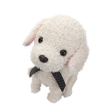 セガトイズ　ココさかだちして　クリーム