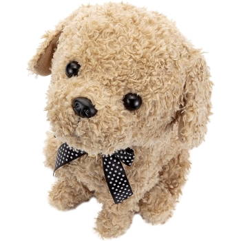 セガトイズ　ココさかだちして　アプリコット