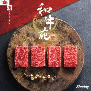 ＜カタログギフト＞和牛苑　優ーゆうー