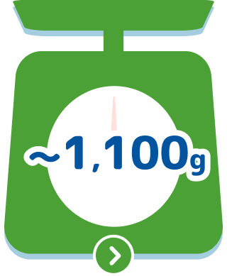 ~1,100g