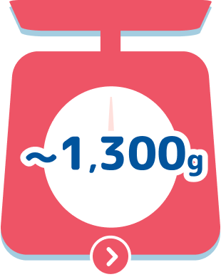 ~1,300g