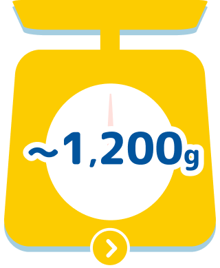 ~1,200g