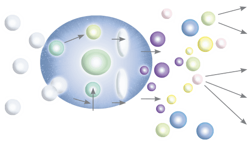 ピテラ&trade;の構成のイメージ画像