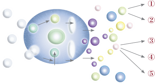 ピテラ&trade;の構成イメージ画像