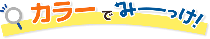 カラーでみーっけ
