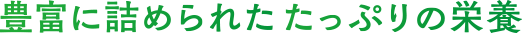 豊富に詰められたたっぷりの栄養