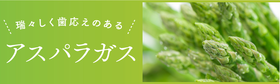 瑞々しく歯応えのあるアスパラガス