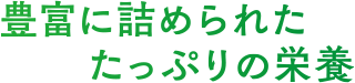 豊富に詰められたたっぷりの栄養