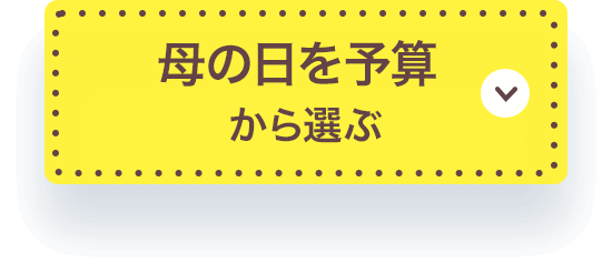 母の日を予算 
            から選ぶ