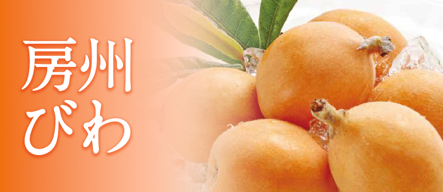 房州びわ