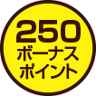 250ボーナスポイント